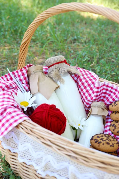 Tasty snack in basket on grassy background for spending nice weekend in a park — Stock Photo, Image