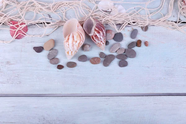 Inrichting van schelpen close-up op blauwe houten tafel — Stockfoto