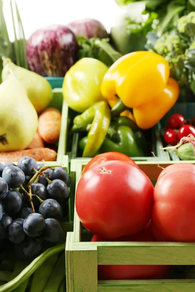 Produtos hortícolas biológicos frescos — Fotografia de Stock