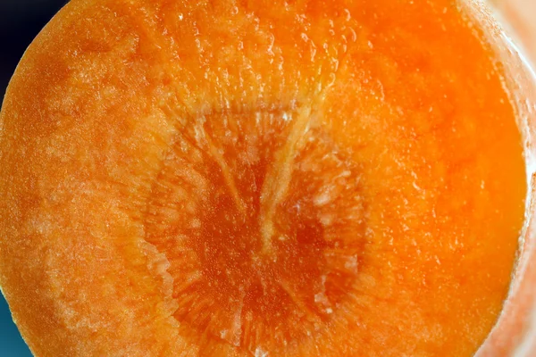 Gros plan sur la carotte — Photo