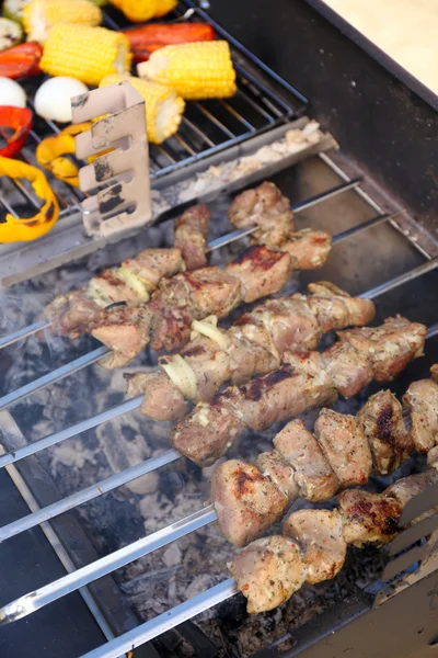 Skewers on barbecue grill — Stock Photo, Image