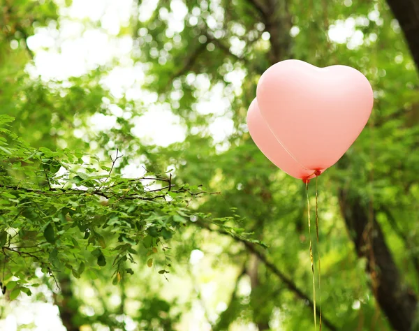 Amor corazón globos, al aire libre — Foto de Stock