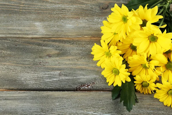 Yellow chrysanthemum on wooden background — Stock Photo, Image