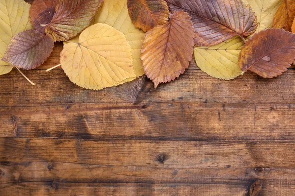 Kahverengi ahşap zemin üzerine sarı yapraklar — Stok fotoğraf