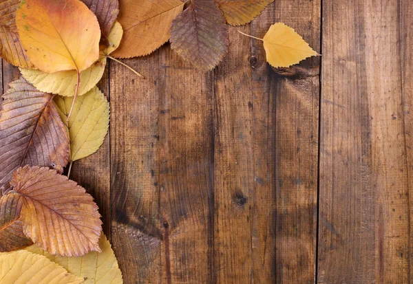Kahverengi ahşap zemin üzerine sarı yapraklar — Stok fotoğraf