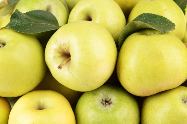 Manzanas verdes maduras — Foto de Stock