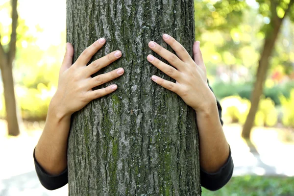 Persona abbraccia tronco grande albero, primo piano — Foto Stock