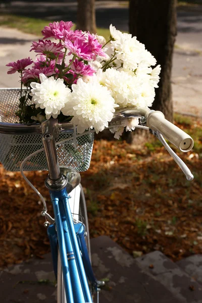 Bicicleta con flores en cesta de metal —  Fotos de Stock