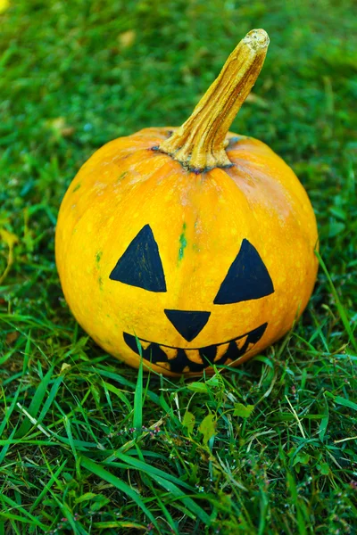 Halloween pumpkin on green grass — Stock Photo, Image