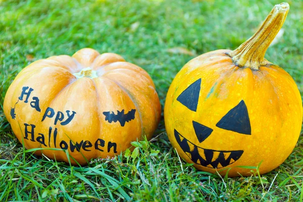 Halloween pompoenen op groen gras — Stockfoto