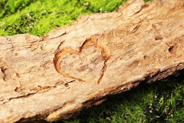 Corazón tallado en corteza de árbol — Foto de Stock