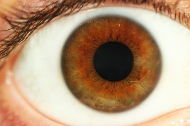 İnsan gözü yakın çekim.