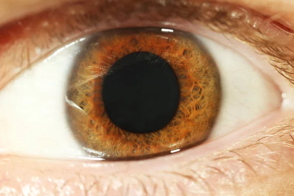 Gros plan sur les yeux humains — Photo