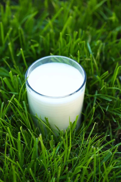Milch im Glas auf Gras in Großaufnahme — Stockfoto