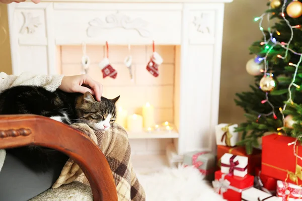 Mujer y lindo gato sentado en mecedora en la parte delantera de la chimenea —  Fotos de Stock