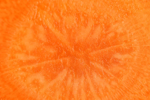 Close up of carrot — Stock Photo, Image