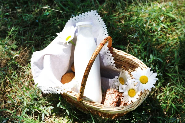Tasty snack in basket on grassy background for spending nice weekend in a park — Stock Photo, Image