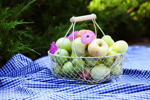 Pommes mûres dans le panier à l'extérieur — Photo