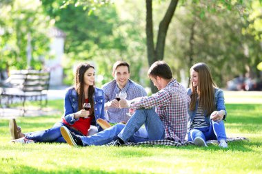 Parkta piknik üzerinde mutlu arkadaşlar
