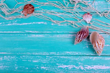 deniz kabuklarını yakın çekim mavi ahşap masa dekoru