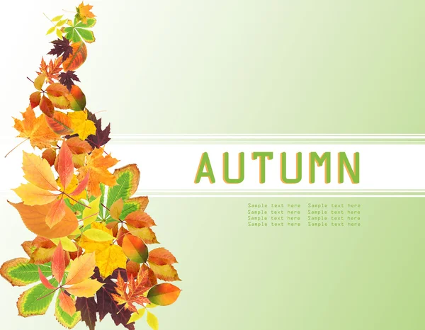 Conceito de Outono — Fotografia de Stock
