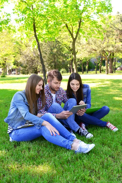 Šťastní studenti sedí v parku — Stock fotografie