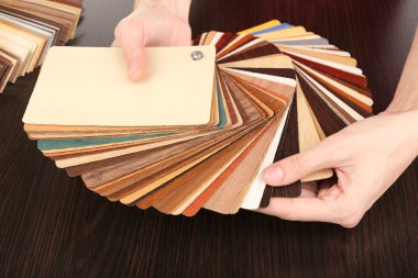 mobilya masa yakın çekim için renk paleti