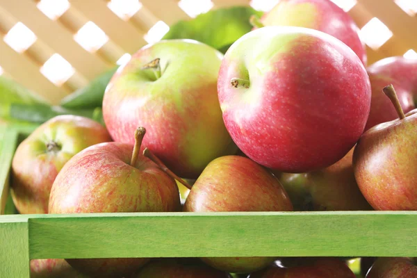 Juicy apples in box, close-up — Stock Photo, Image