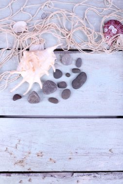 deniz kabuklarını yakın çekim mavi ahşap masa dekoru