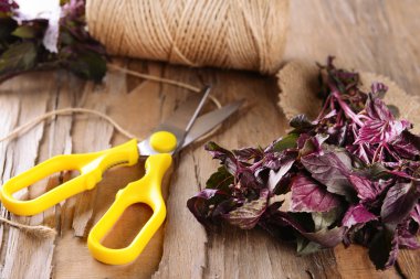 Fesleğen tablo yakın çekim üzerinde