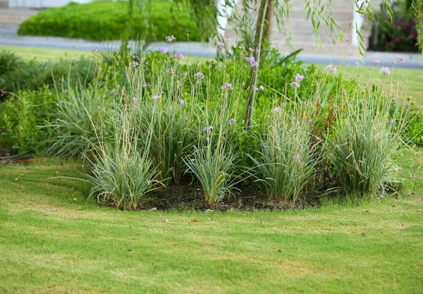 Prachtige landschapsarchitectuur in tuin — Stockfoto