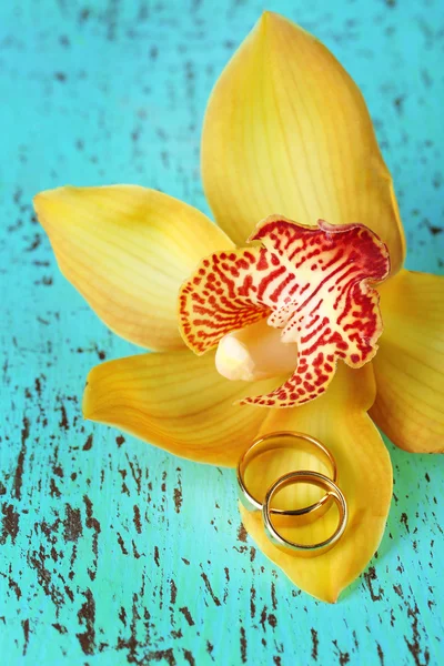 Bryllupsringe og orkideblomst, close-up, på farve træ baggrund - Stock-foto