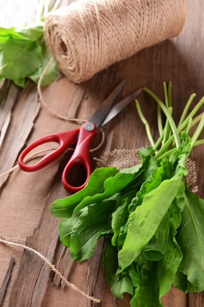 Sorrel on table close-up — Stock Photo, Image