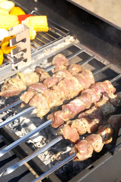 Skewers and vegetableq on barbecue grill, close-up — Stock Photo, Image