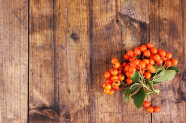 Ashberry kahverengi ahşap zemin üzerinde