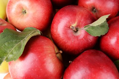 Olgun Kırmızı Elmalar