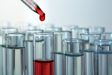 test tüpleri sıvı ile