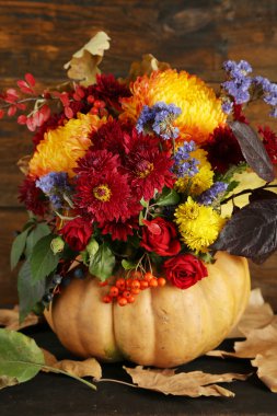 güzel sonbahar kompozisyon