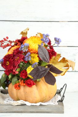 güzel sonbahar kompozisyon