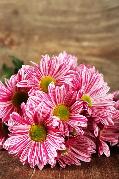 Paarse chrysant op houten achtergrond — Stockfoto