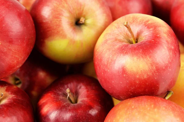Ώριμα κόκκινα μήλα — Φωτογραφία Αρχείου