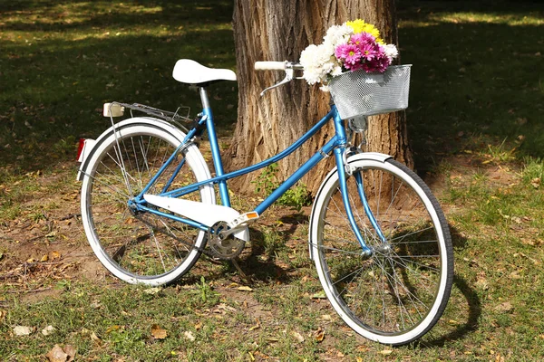 Bicyclette avec fleurs dans un panier en métal — Photo