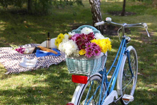 Fahrrad mit Picknick-Snack — Stockfoto