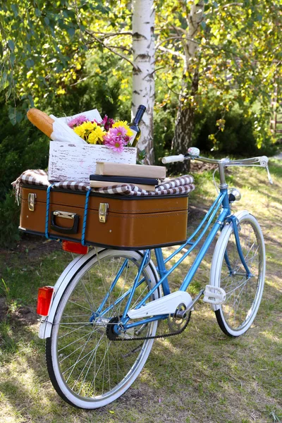 Bicicleta y maleta marrón —  Fotos de Stock