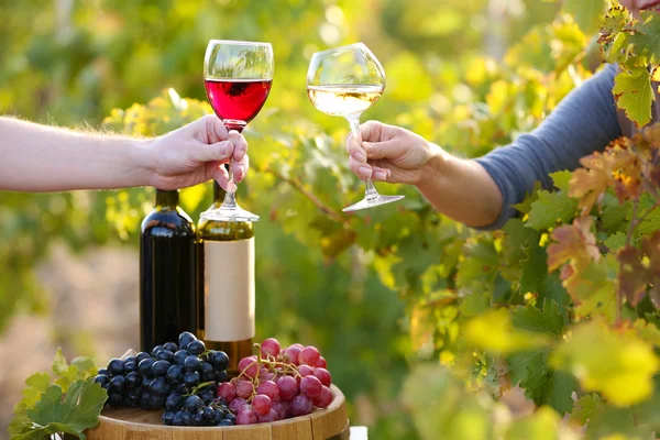 Verre à vin sur plantation de raisins — Photo