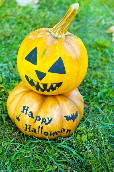 Halloween pumpkins on green grass — Stock Photo, Image