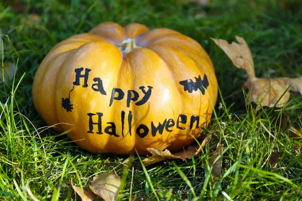 Halloween pumpkin on green grass — Stock Photo, Image
