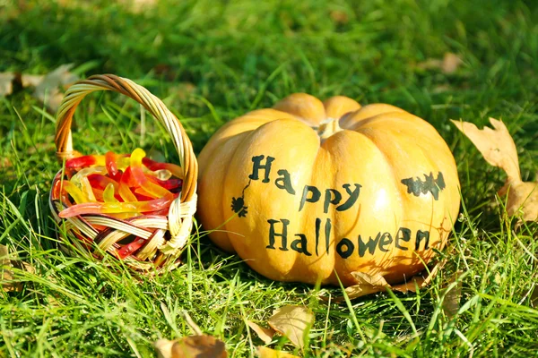 Zucca e cesto di Halloween — Foto Stock