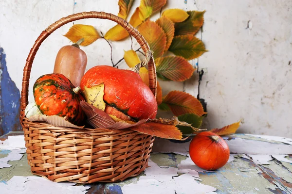 Citrouilles dans un panier en osier et feuilles sur vieux conseil sur fond mural — Photo