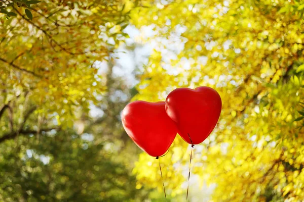 Love heart balloons — Stock Photo, Image